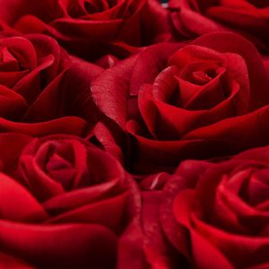 Relaxdays flowerbox - rozenbox - rozen in doos - 34 kunstrozen - wit - rond - rood