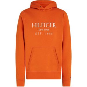 Tommy Hilfiger Grote Hilfiger Sweatshirt Met Hood - Streetwear - Volwassen