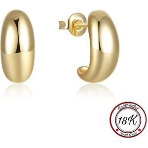 Borasi Half-Moon Earrings | Halve Maan Oorbellen | 925 Sterling Zilver | 18K Goldplated | Dames Oorbellen | Luxe Geschenkzakje | Dagelijkse Oorbellen | Cadeau | Verjaardag Cadeau | Cadeau Voor Haar | Dames Sieraden | Moederdag Cadeautje