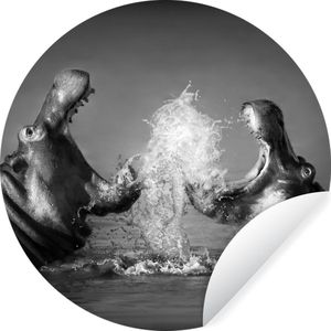 Behangcirkel - Zelfklevend behang - Dieren - Nijlpaard - Water - Zwart - Wit - ⌀ 140 cm - Behangcirkel dieren - Behangcirkel zelfklevend - Rond behang