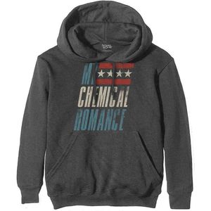 My Chemical Romance - Raceway Hoodie/trui - L - Grijs