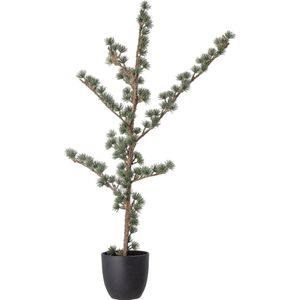 Bloomingville kerstboom klein - Kerstaccessoires - Plastic - 20x85x60cm