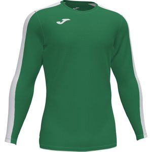 Joma Academy III Voetbalshirt Lange Mouw Heren - Groen / Wit | Maat: L