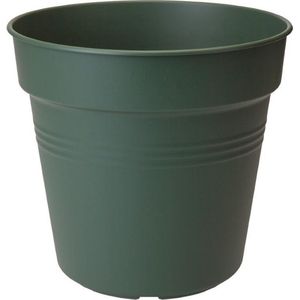 5 stuks Green basics kweekpot 11cm blad groen