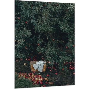 WallClassics - Vlag - Mandje voor Appels Plukken - 100x150 cm Foto op Polyester Vlag