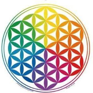 Raamsticker Bloem des Levens (Flower of Life)