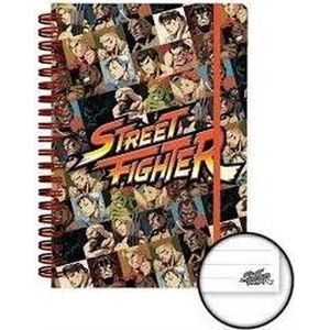 Street fighter character notebook