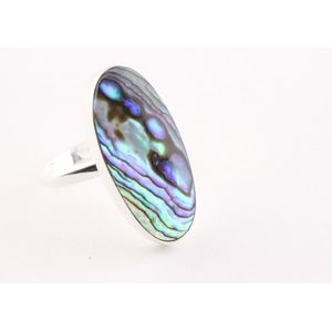 Ovale hoogglans zilveren ring met abalone schelp - maat 20.5