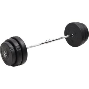 vidaXL-Halter-gebogen-met-gewichten-90-kg