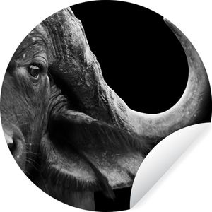 Wallcircle - Behangcirkel - Zelfklevend behang - Wilde dieren - Buffalo - Zwart - Wit - ⌀ 30 cm - Cirkel behang - Behangcirkel dieren