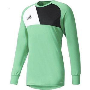 adidas Assita 17 GK Jersey Keepersshirt Heren  Sportshirt - Maat XL  - Mannen - groen/zwart/wit