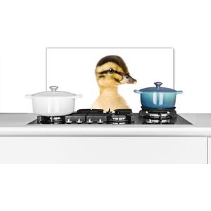 Spatscherm keuken 60x30 cm - Kookplaat achterwand Eend - Geel - Dieren - Natuur - Muurbeschermer - Spatwand fornuis - Hoogwaardig aluminium