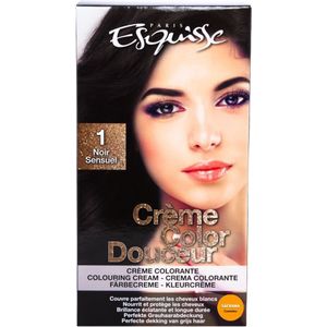 Esquisse N°1 Noir sensuel - Perfecte dekking van grijs haar