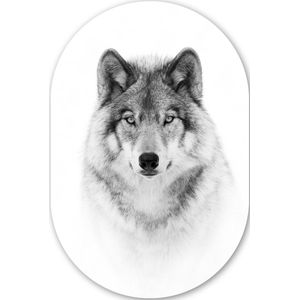 Wolf - Dieren - Portret - Wit Kunststof plaat (5mm dik) - Ovale spiegel vorm op kunststof