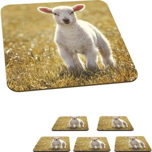 Onderzetters voor glazen - Schaap - Gras - Zon - 10x10 cm - Glasonderzetters - 6 stuks