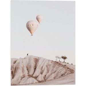 WallClassics - Vlag - Beige en Bruine Luchtballonnen boven Rotslandschap - 30x40 cm Foto op Polyester Vlag