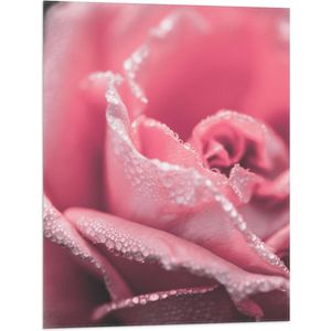 WallClassics - Vlag - Close-up van Roze Roos met Waterdruppels - 60x80 cm Foto op Polyester Vlag