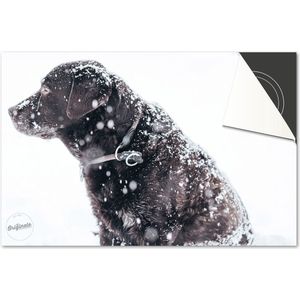 Inductie beschermer 65x52 - afdekplaat inductie mat - Dietrix Kookplaat beschermer - DELUXE - Winter-03-Hond