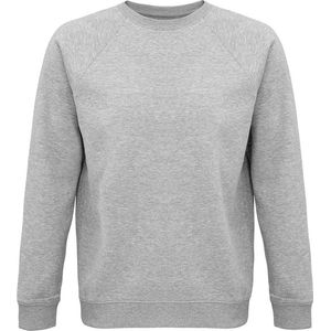 SOLS Unisex Adult Space Organic Raglan Sweatshirt (Grijze Mergel)