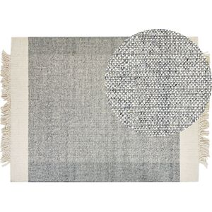 TATLISU - Modern vloerkleed - Grijs - 160 x 230 cm - Wol