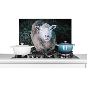Spatscherm keuken 60x40 cm - Kookplaat achterwand Schaap - Dieren - Vee - Muurbeschermer - Spatwand fornuis - Hoogwaardig aluminium