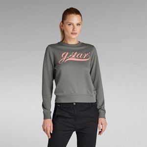 G-star Graphic Stm 1 Sweatshirt Grijs S Vrouw