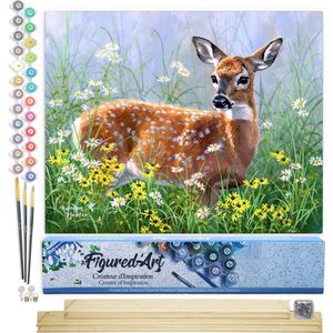 Figured'Art Schilderen op Nummer Volwassenen canvas Hert in de weide - Handwerk acrylverf Kit DIY Compleet - 40x50cm met DIY houten lijst