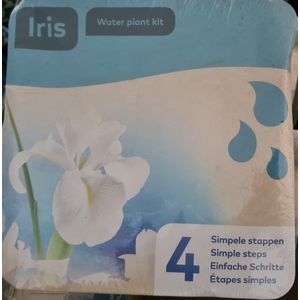 Moerings - Droogverpakking waterplant - witte iris
