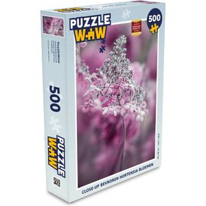 Puzzel Close-up bevroren hortensia bloemen - Legpuzzel - Puzzel 500 stukjes