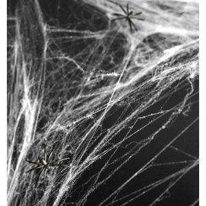 Halloween Witte spinnenweb decoratie met 2 spinnen - Halloween/horror decoratie/versiering - Spinnenwebben