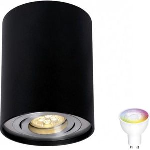 Spectrum - LED plafondspot - Tube rond - Zwart Aluminium - met GU10 fitting - kantelbaar - excl. LED spot