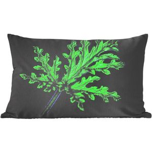 Sierkussens - Kussen - Apart groen blad op zwarte achtergrond - 50x30 cm - Kussen van katoen