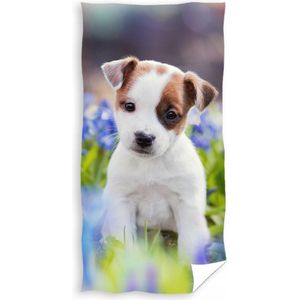 Carbotex Badlaken hond in bloemenveld 70x140cm