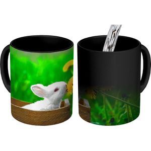 Magische Mok - Foto op Warmte Mokken - Koffiemok - Konijn - Paardenbloem - Gras - Magic Mok - Beker - 350 ML - Theemok