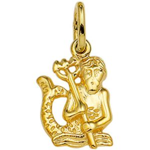 Hanger Sterrenbeeld 14K Geelgoud