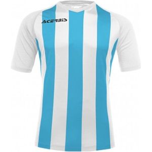 Acerbis Sports JOHAN STRIPED S/SL JERSEY (Sportshirt) WHITE/LIGHT BLUE S