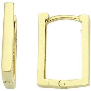 Gouden Oorringen 15 mm 2 mm 14 karaats