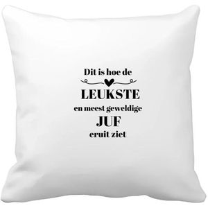 Akyol - dit is hoe de leukste en meest geweldige juf eruit ziet Kussen hoes - Juf - leraressen - verjaardag - cadeautje voor juf - juf artikelen - kado - geschenk - collega's - 40 bij 40 cm
