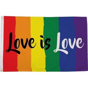 Regenboog LGBT vlag 90 x 150 cm Love is Love verticale strepen - Gay pride/parade feestversiering/feestdecoratie artikelen