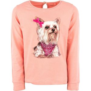 Stones and Bones t-shirt meisjes - roze - dog - maat 104