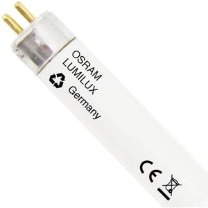 Osram Lumilux® T5 Short EL TL-buis G5 8W 6500K 330lm - 765 - 28.8cm - Koel Wit licht