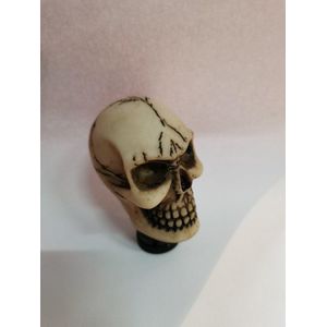 Universal Skull Head Shape Handmatige of automatische pookknop Fit voor alle auto's