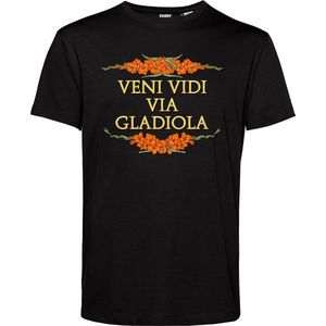 T-shirt Veni Vidi Via Gladiola | Vierdaagse shirt | Wandelvierdaagse Nijmegen | Roze woensdag | Zwart | maat XXL