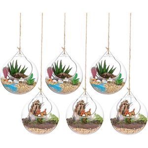 Hangende glazen bol vaas glazen bol 6 stuks grote opening vetplanten ophangen terrarium glas bloem lucht plantenpot container 10 cm voor thuis feest bruiloft tuin DIY ontwerp