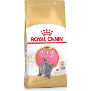 Royal Canin British Shorthair Kitten - Kattenvoer - 10 kg