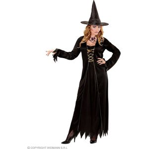 Widmann - Heks & Spider Lady & Voodoo & Duistere Religie Kostuum - Traditionele Heks Wieteke - Vrouw - Zwart - XXXL - Halloween - Verkleedkleding