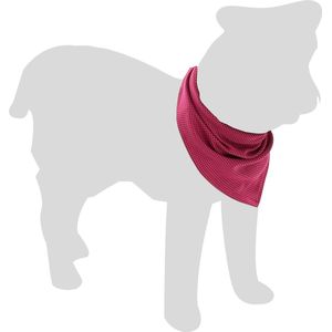 Flamingo Fresk Inou - Koelbandana Honden - Koelbandana Fresk Inou S Roze 52x22cm - 1st