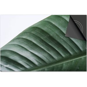 Inductie beschermer 60x52 - afdekplaat inductie mat - Dietrix Kookplaat beschermer - Exclusief - Leaves - 3 Wit met groen blad