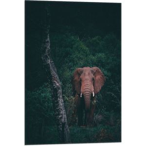 WallClassics - Vlag - Olifant in de Jungle - 50x75 cm Foto op Polyester Vlag