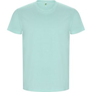 Roly Men´s Golden Organic T-Shirt RY6690 - Mint 98 - 3XL